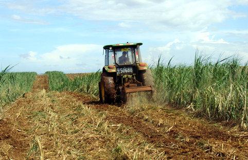 �r(n��ng)�C(j��)��(z��i)���ؽ� dgjunlin.com