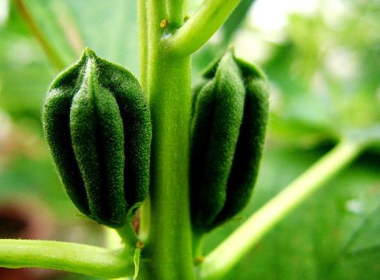 ֥�����a(ch��n)�Cе���̶�ƫ�� dgjunlin.com